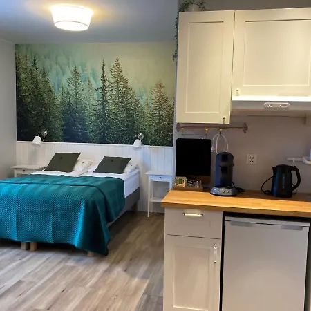 Apartment Black Lion