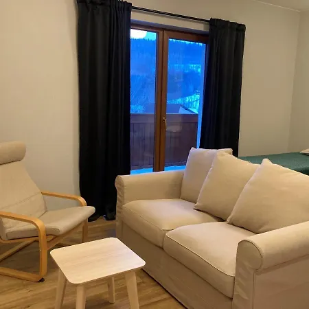 Black Lion Apartment *