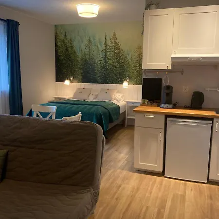 Black Lion Apartment