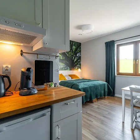 Black Lion Apartment *