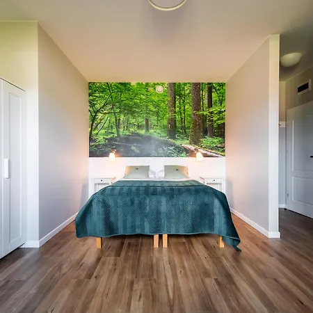 Black Lion Apartment *